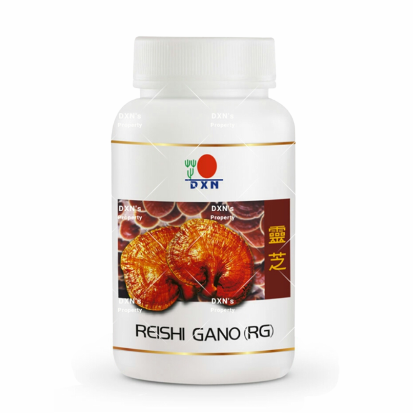 Reishi Gano (RG)