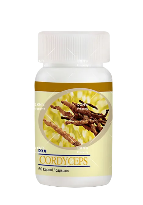 DXN Cordyceps – Cordyceps