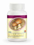 DXN Agaricus Blazei Murill – Agaricus Blazei