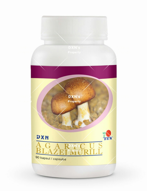 DXN Agaricus Blazei Murill – Agaricus Blazei